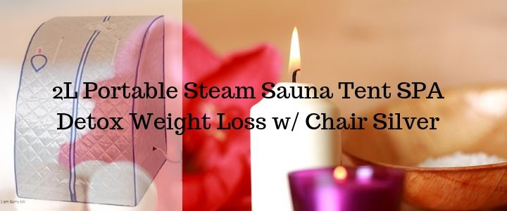 2L Portable Steam Sauna Tent SPA Detox Weight Loss w_ Chair Silver